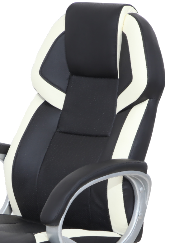 back cushion-1.png