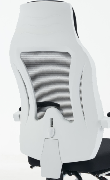 back cushion-4.png