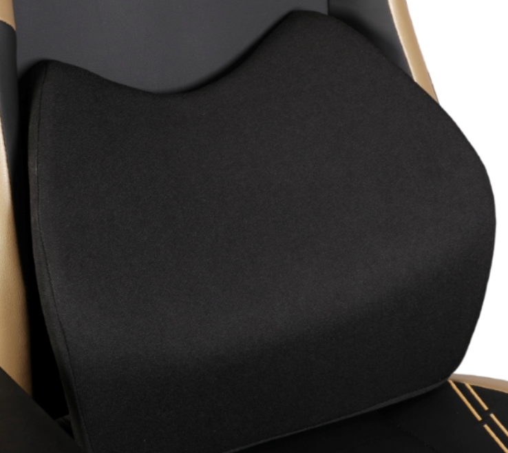 molded lumbar support.png